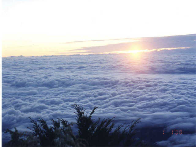 firstlight.jpg (29292 bytes)